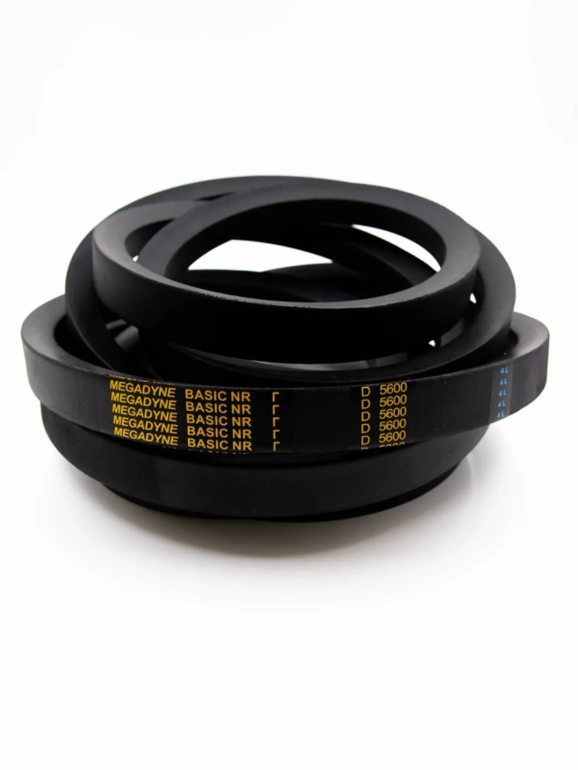 Клиновой ремень D (Г) 5600 Lp MEGADYNE BASIC